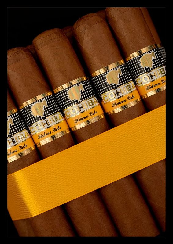 Cohiba Robustos - Image 6