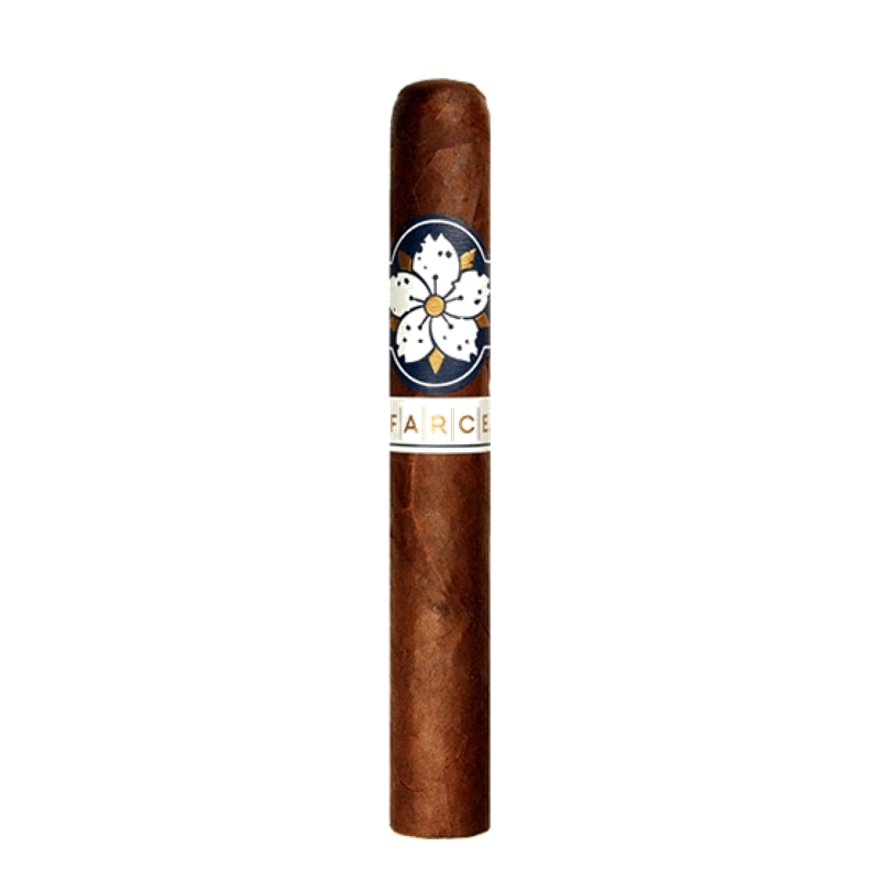 Room 101 Farce Maduro Robusto Cigar – Single