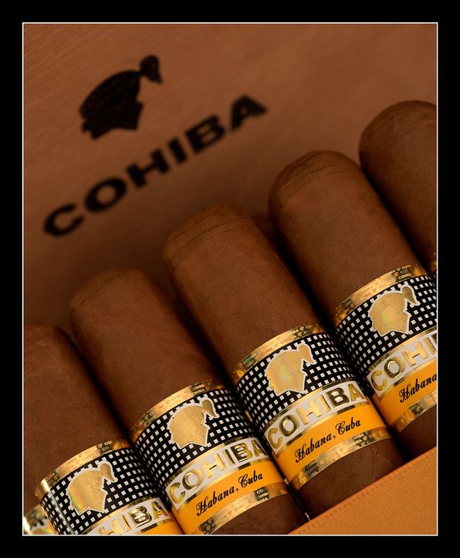 Cohiba Robustos - Image 7