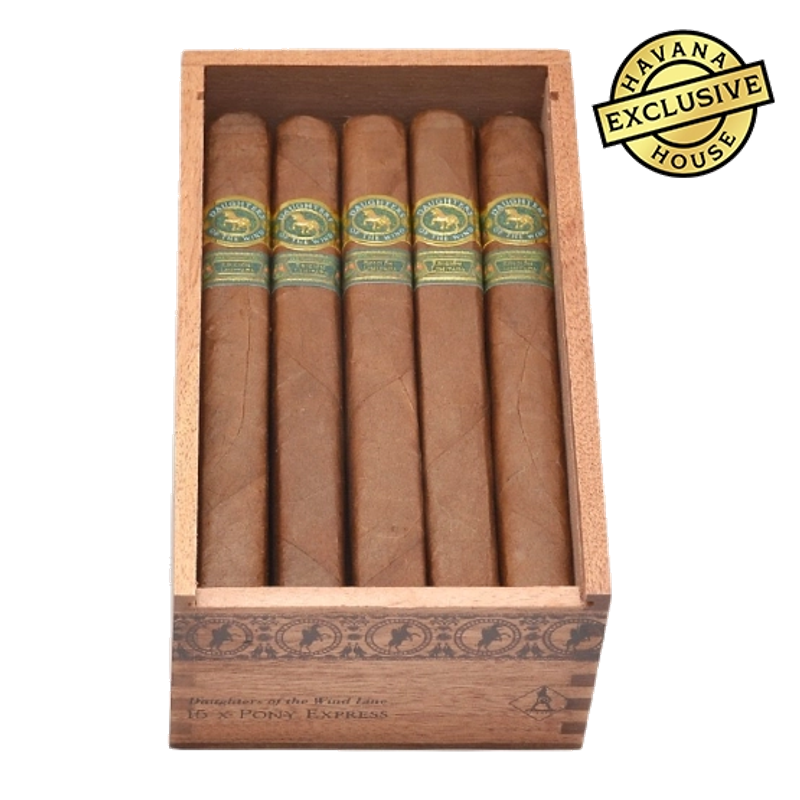 Casdagli Daughters of the Wind Pony Express Cigar – Box of 15