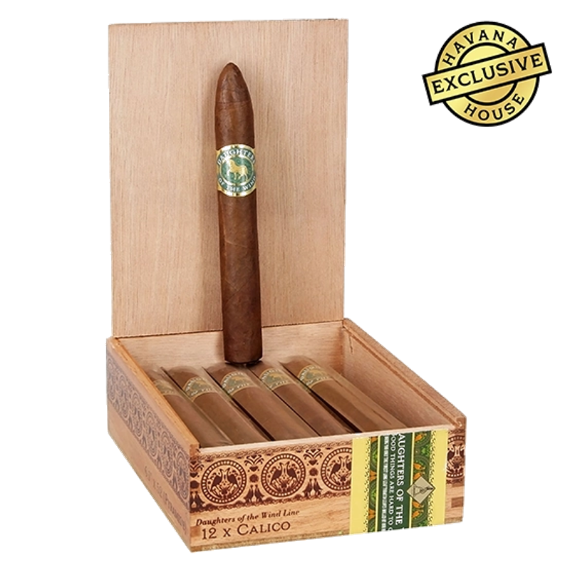 Casdagli Daughters of the Wind Calico Cigar – Box of 12