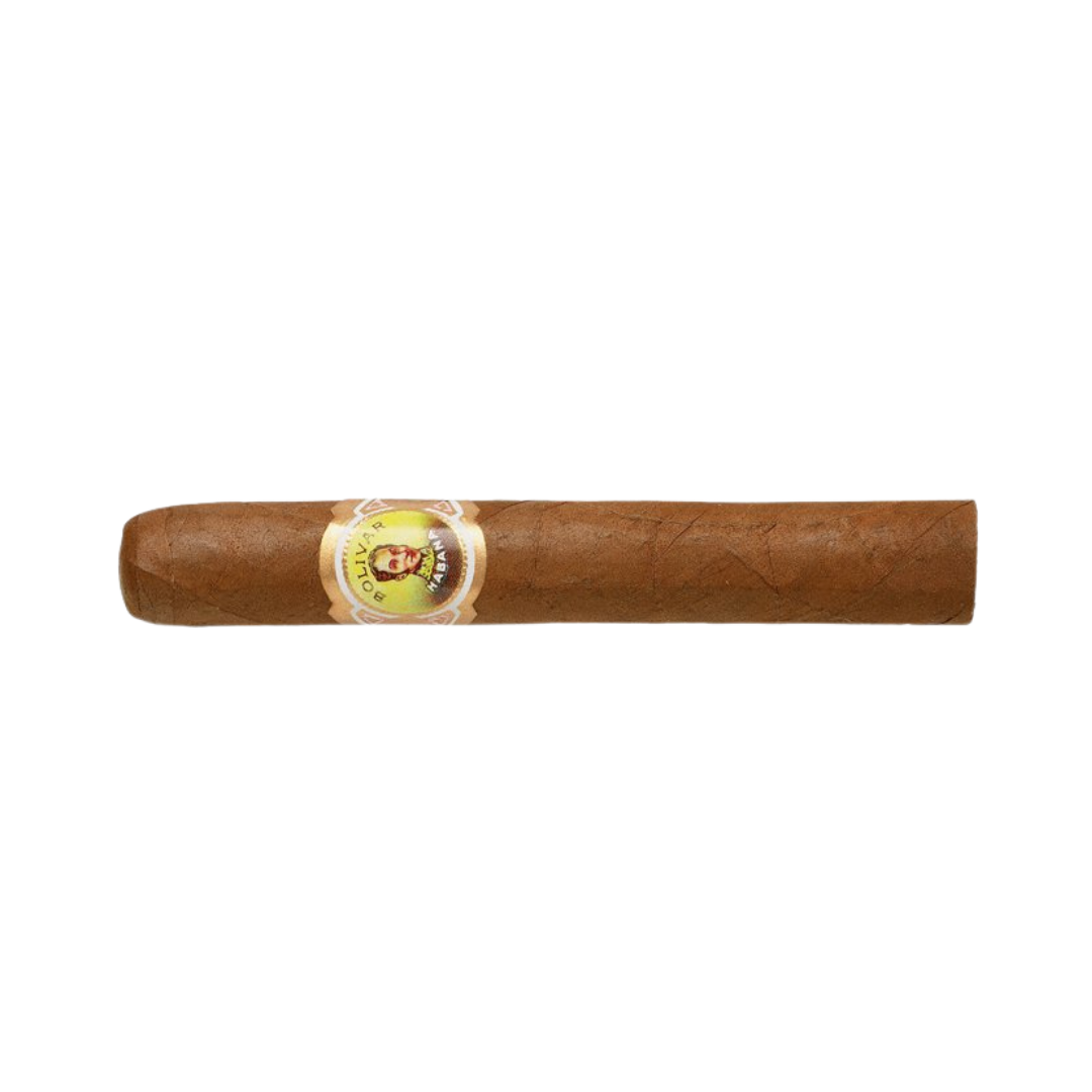 Bolivar Coronas J