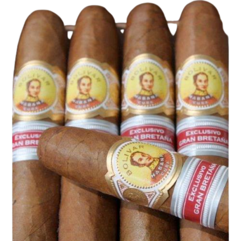 Bolívar Británicas UK Regional Edition 2012 – Single alternate view