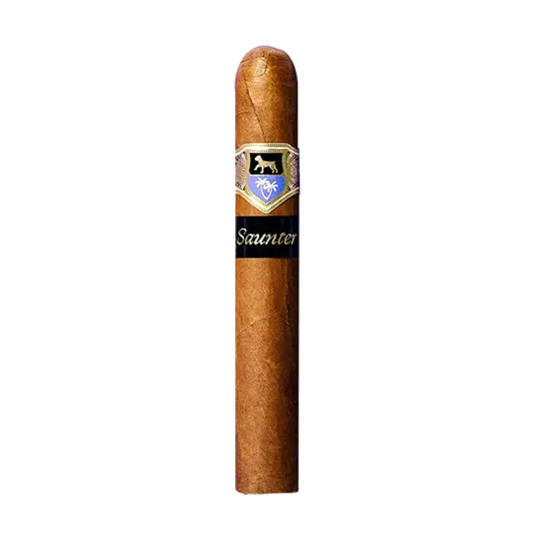 Warped Gellis Saunter Robusto Cigar – Single